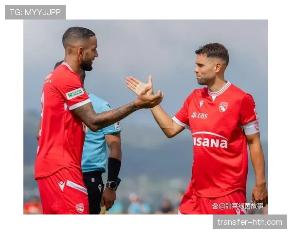 瑞士超争议事件最新进展